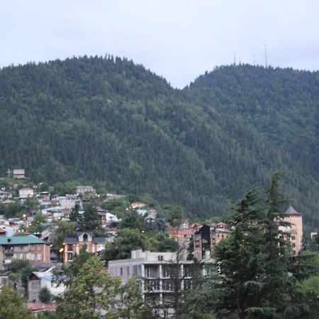 Diasamidzeebi Apartment Borjomi Dış mekan fotoğraf