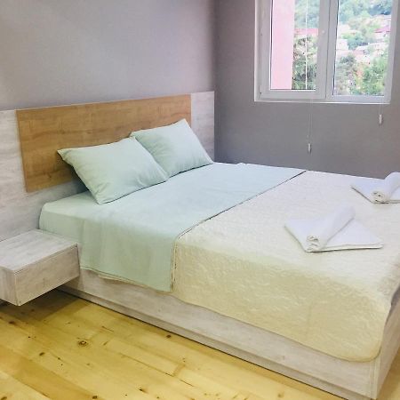 Diasamidzeebi Apartment Borjomi Dış mekan fotoğraf