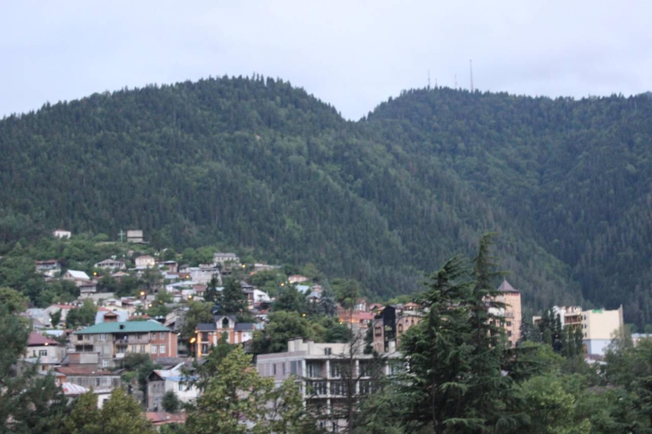 Diasamidzeebi Apartment Borjomi Dış mekan fotoğraf