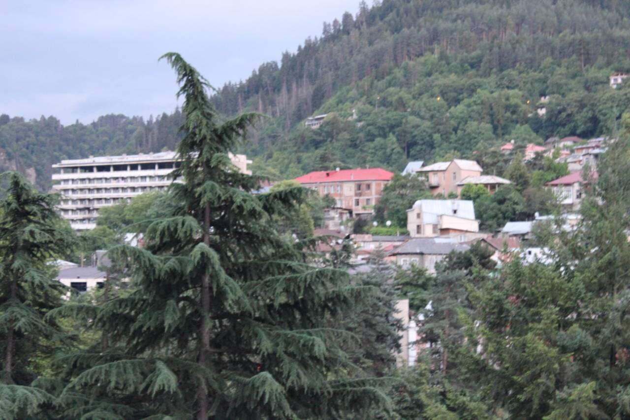 Diasamidzeebi Apartment Borjomi Dış mekan fotoğraf