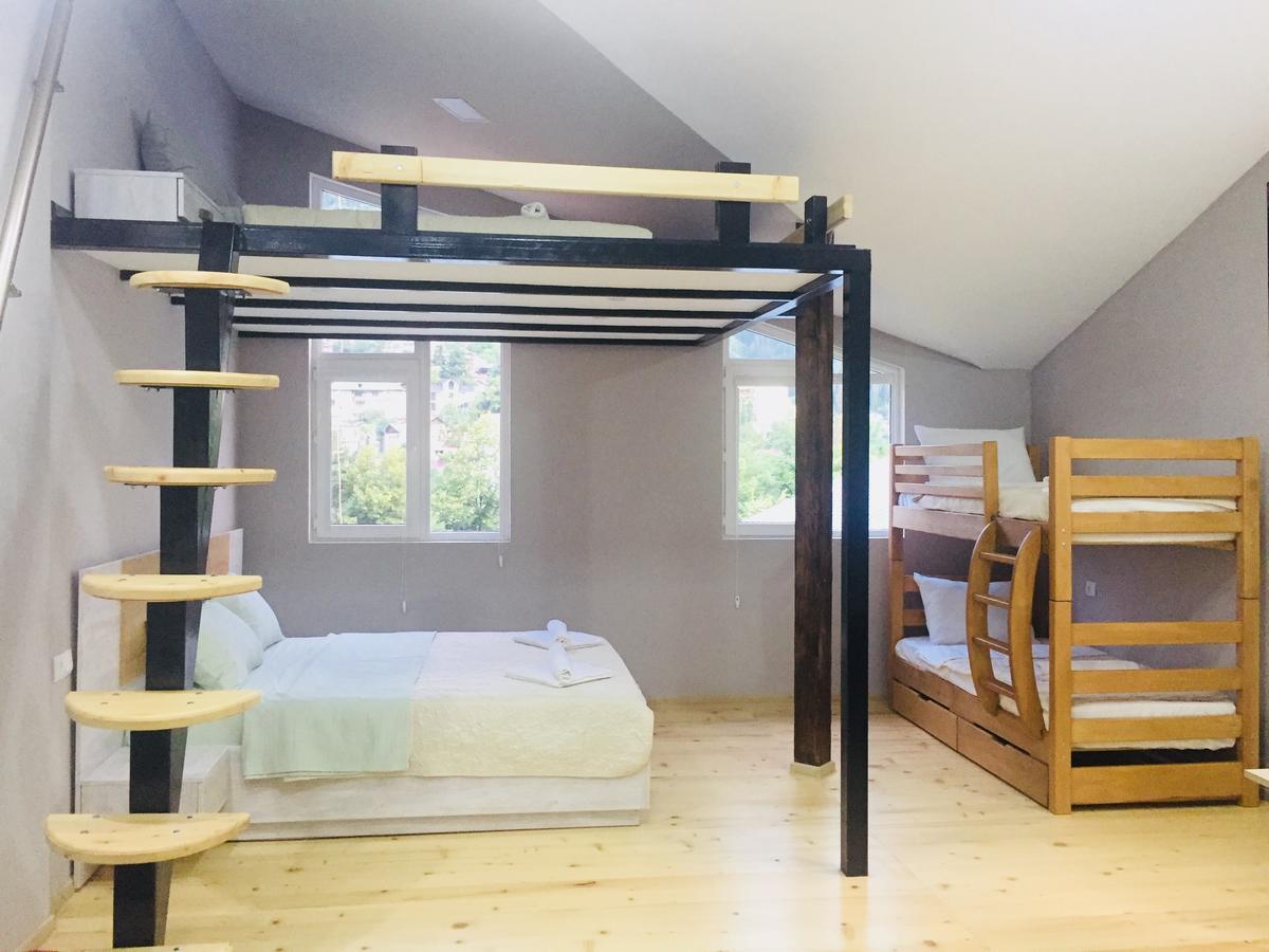 Diasamidzeebi Apartment Borjomi Dış mekan fotoğraf