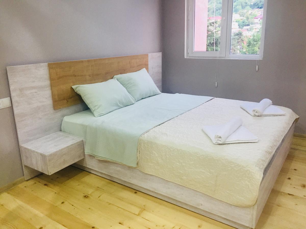 Diasamidzeebi Apartment Borjomi Dış mekan fotoğraf