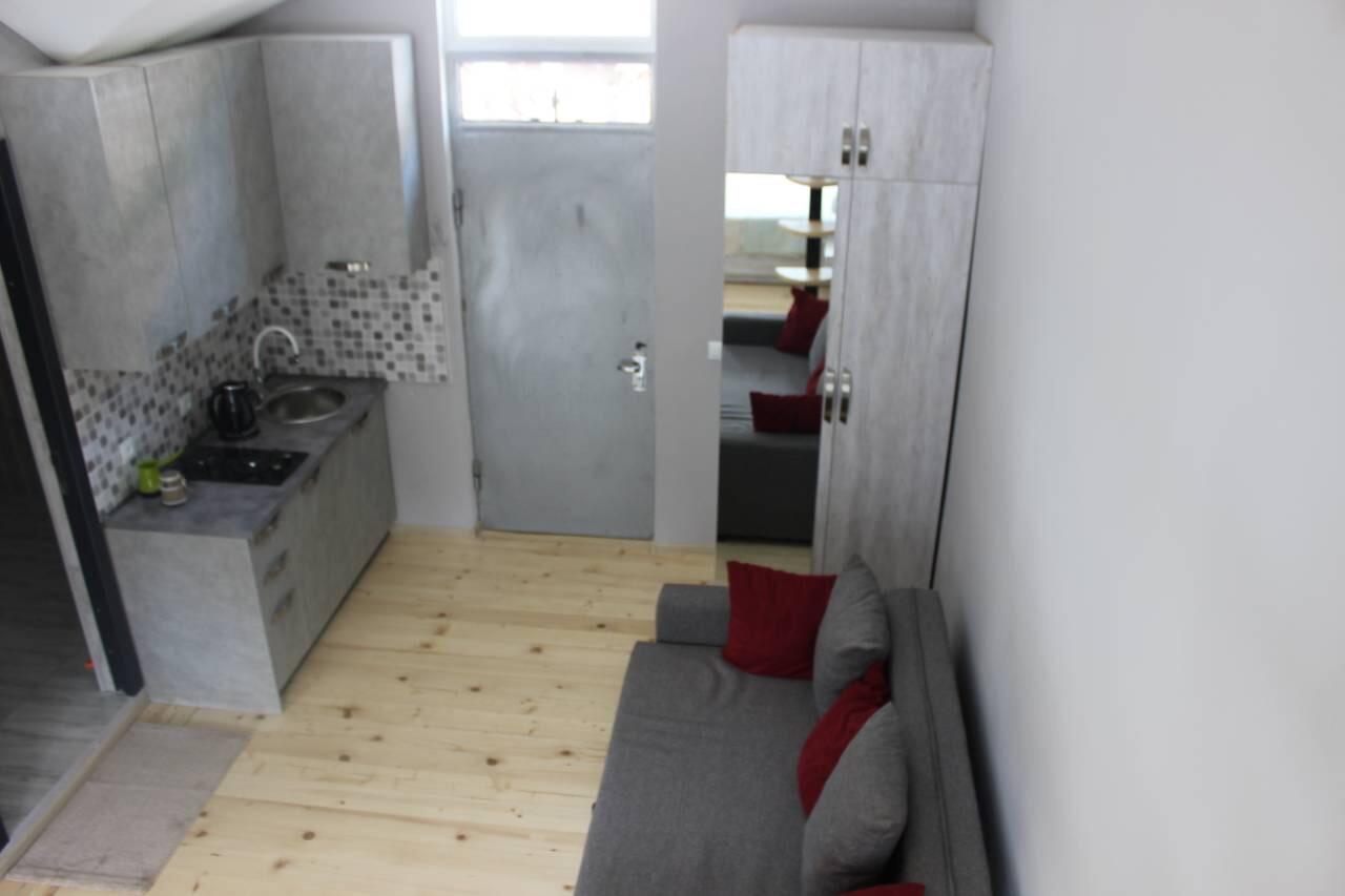 Diasamidzeebi Apartment Borjomi Dış mekan fotoğraf