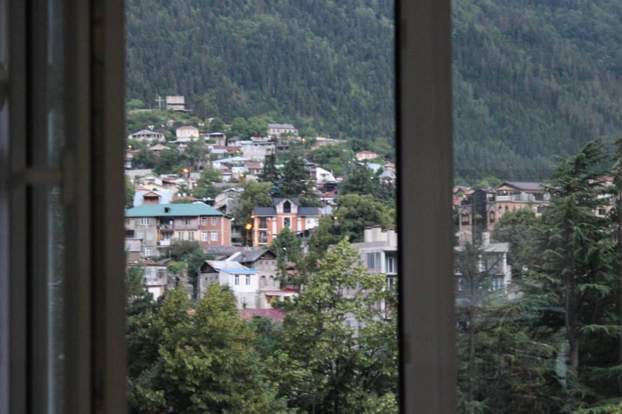Diasamidzeebi Apartment Borjomi Dış mekan fotoğraf