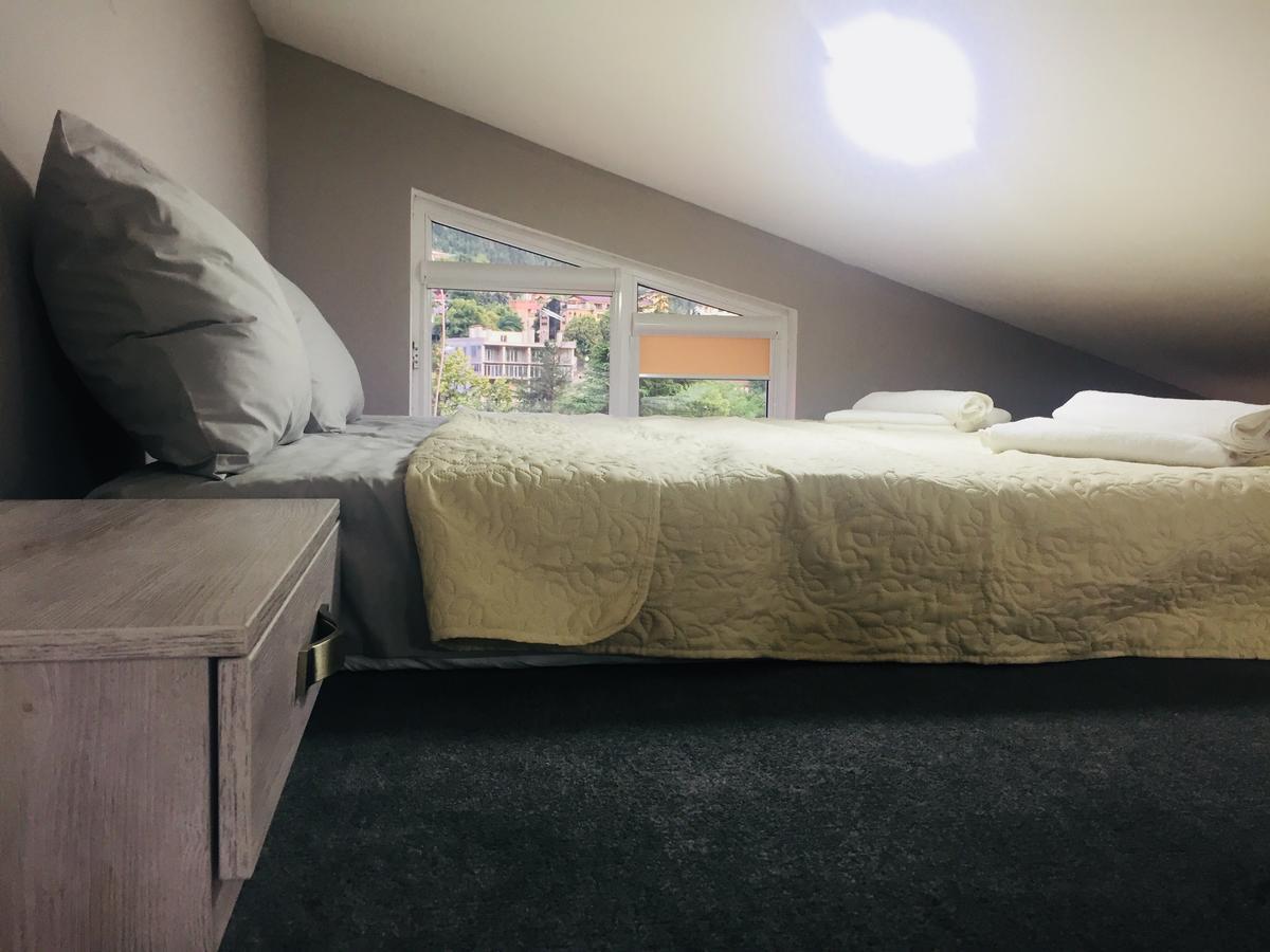 Diasamidzeebi Apartment Borjomi Dış mekan fotoğraf