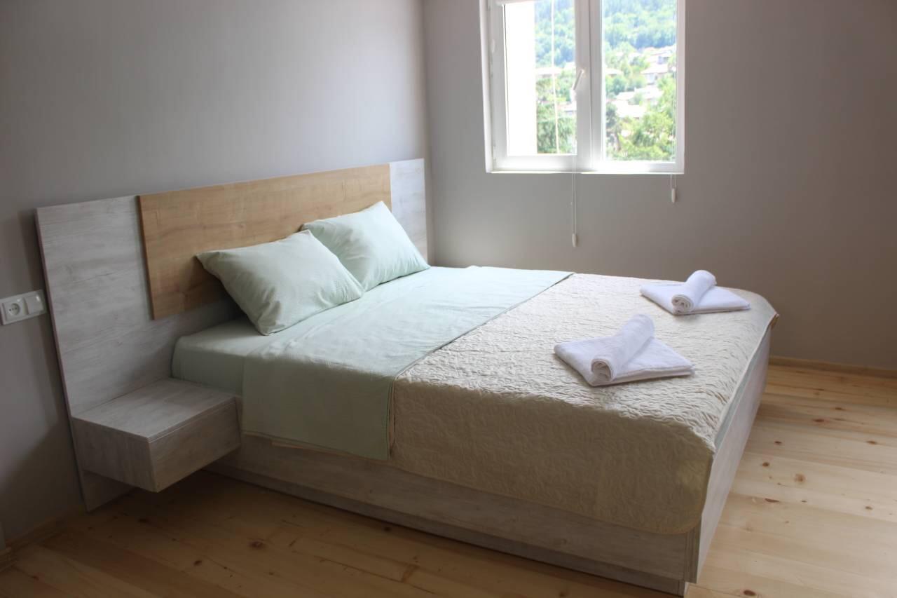 Diasamidzeebi Apartment Borjomi Dış mekan fotoğraf