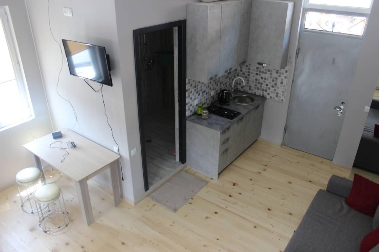 Diasamidzeebi Apartment Borjomi Dış mekan fotoğraf