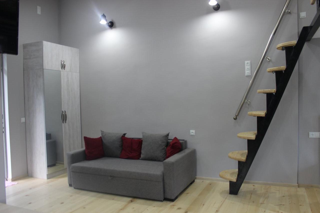 Diasamidzeebi Apartment Borjomi Dış mekan fotoğraf